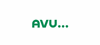 AVU Aktiengesellschaft fu ¨r Versorgungs-Unternehmen